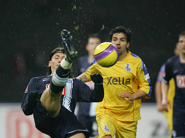 数据显示 数据显示